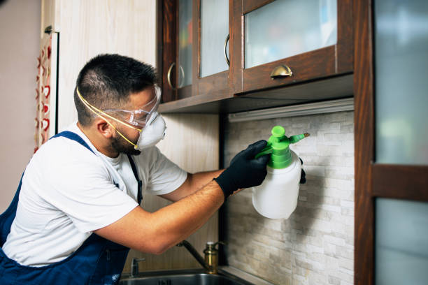 Professional Pest Control in Mondovi, WI