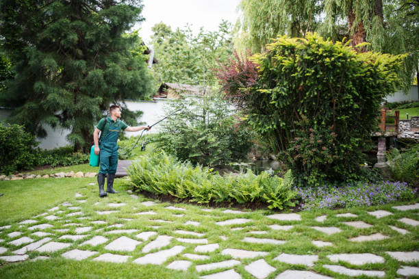 Best Wasp Removal Services  in Mondovi, WI