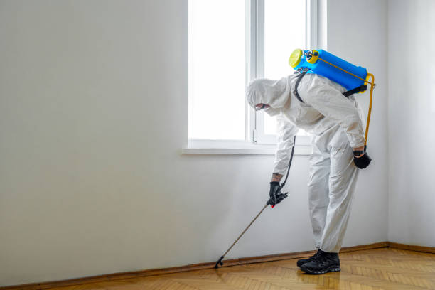 Best Cockroach Control Services  in Mondovi, WI