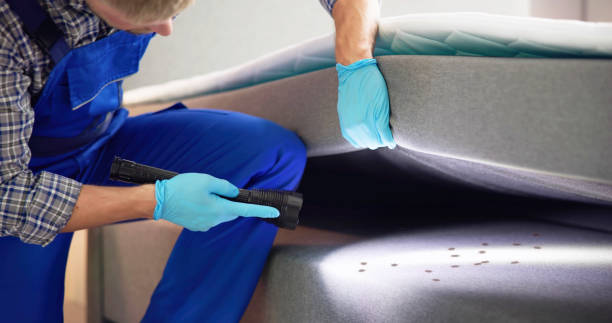 Best Mosquito Control Services  in Mondovi, WI