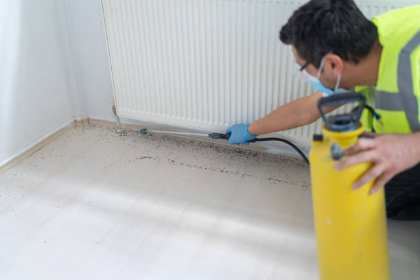 Best Best Pest Control Companies  in Mondovi, WI